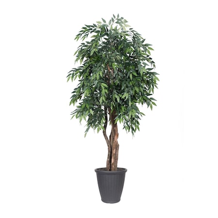 Dare2Decor 6 ft. Smilax Executive Tree - Round Grey Container, Green DA3254619